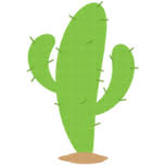 Cactus The Brand Cod Reducere 2025